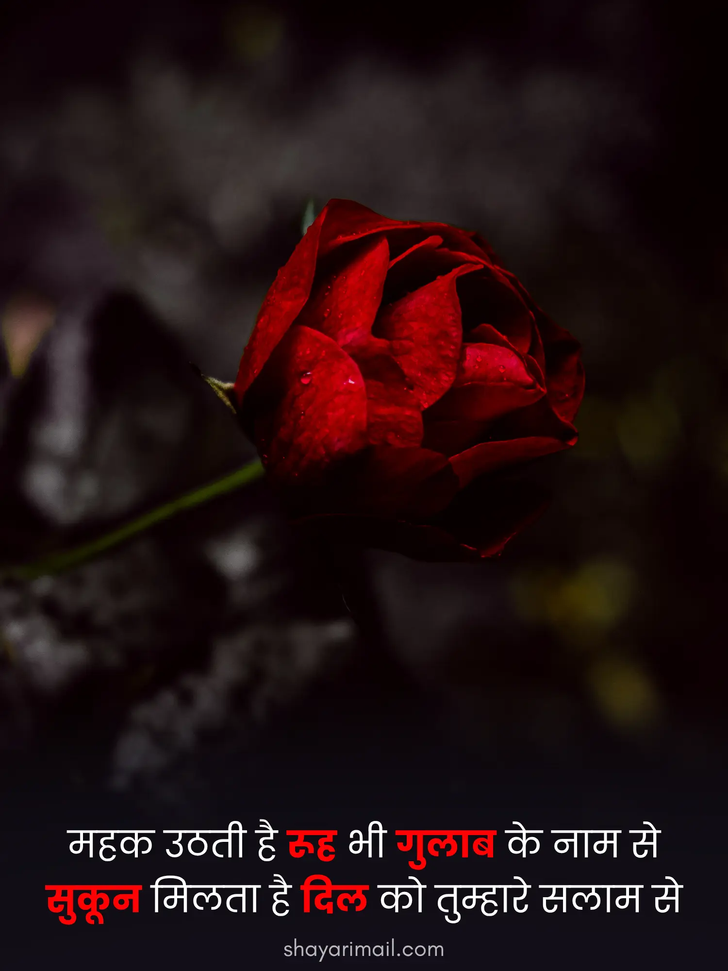 Gulab Par Shayari 2 Line Me