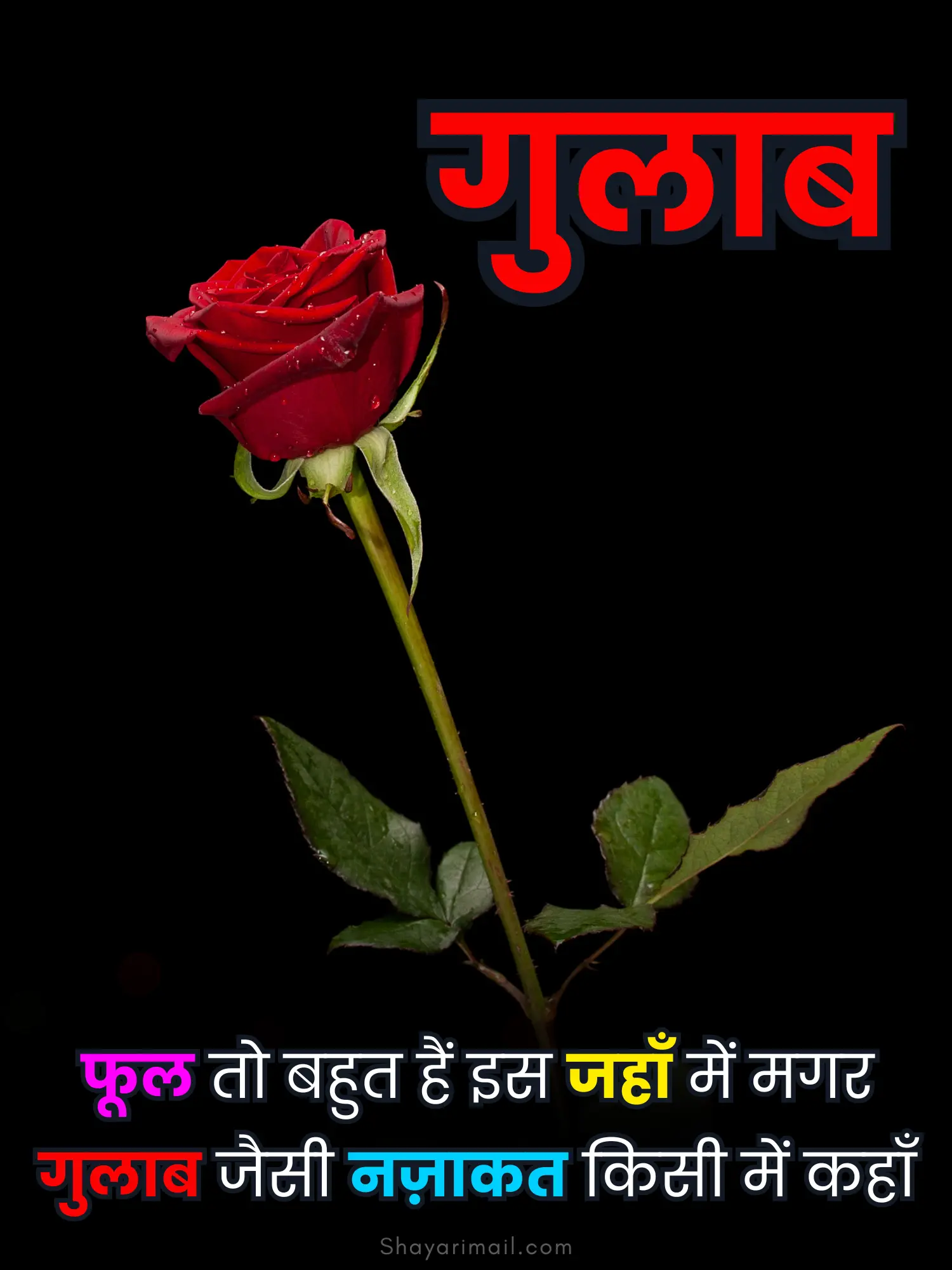 gulab ke phool par shayari status