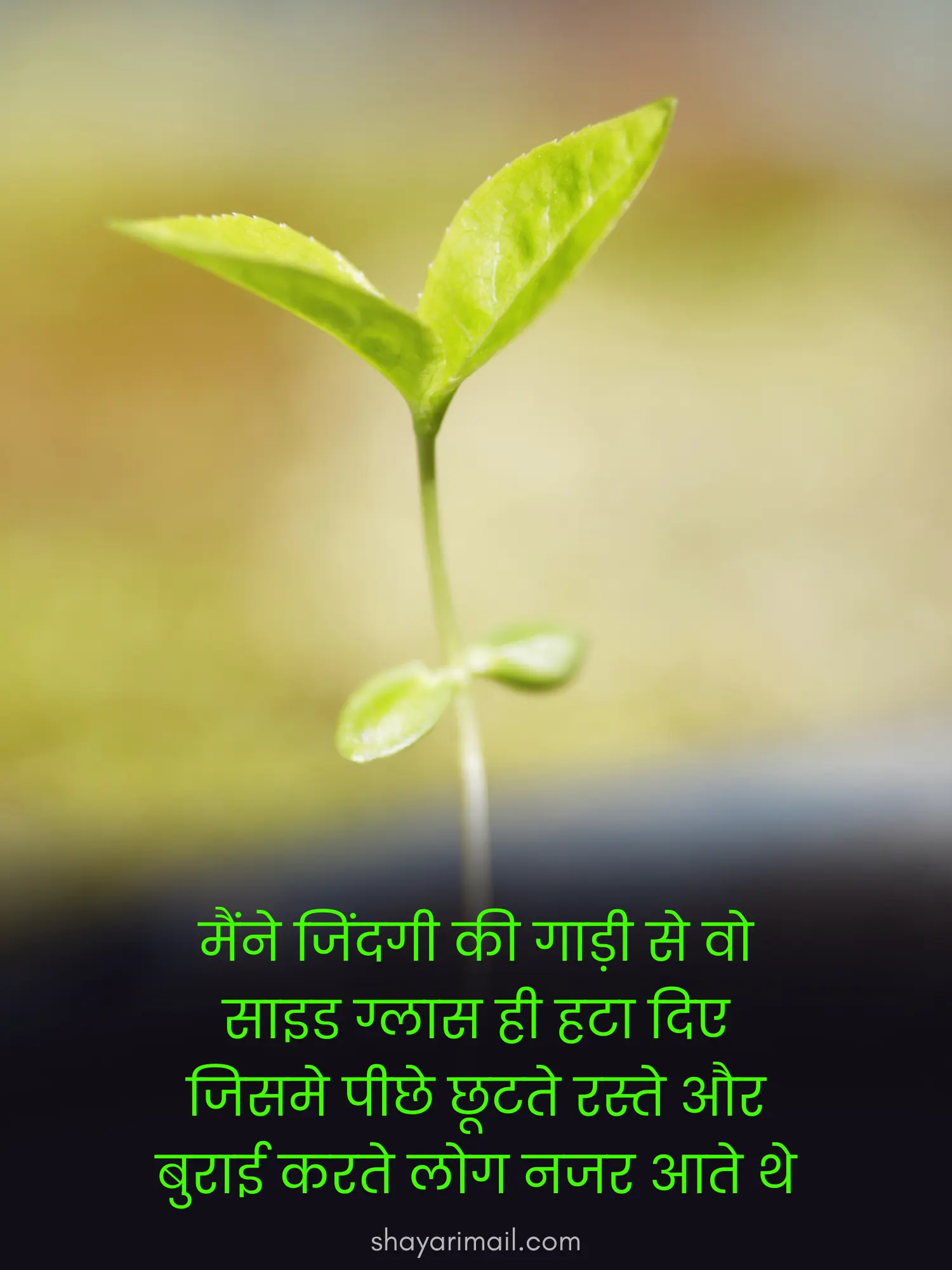 Zindagi Shayari Hindi Image Download