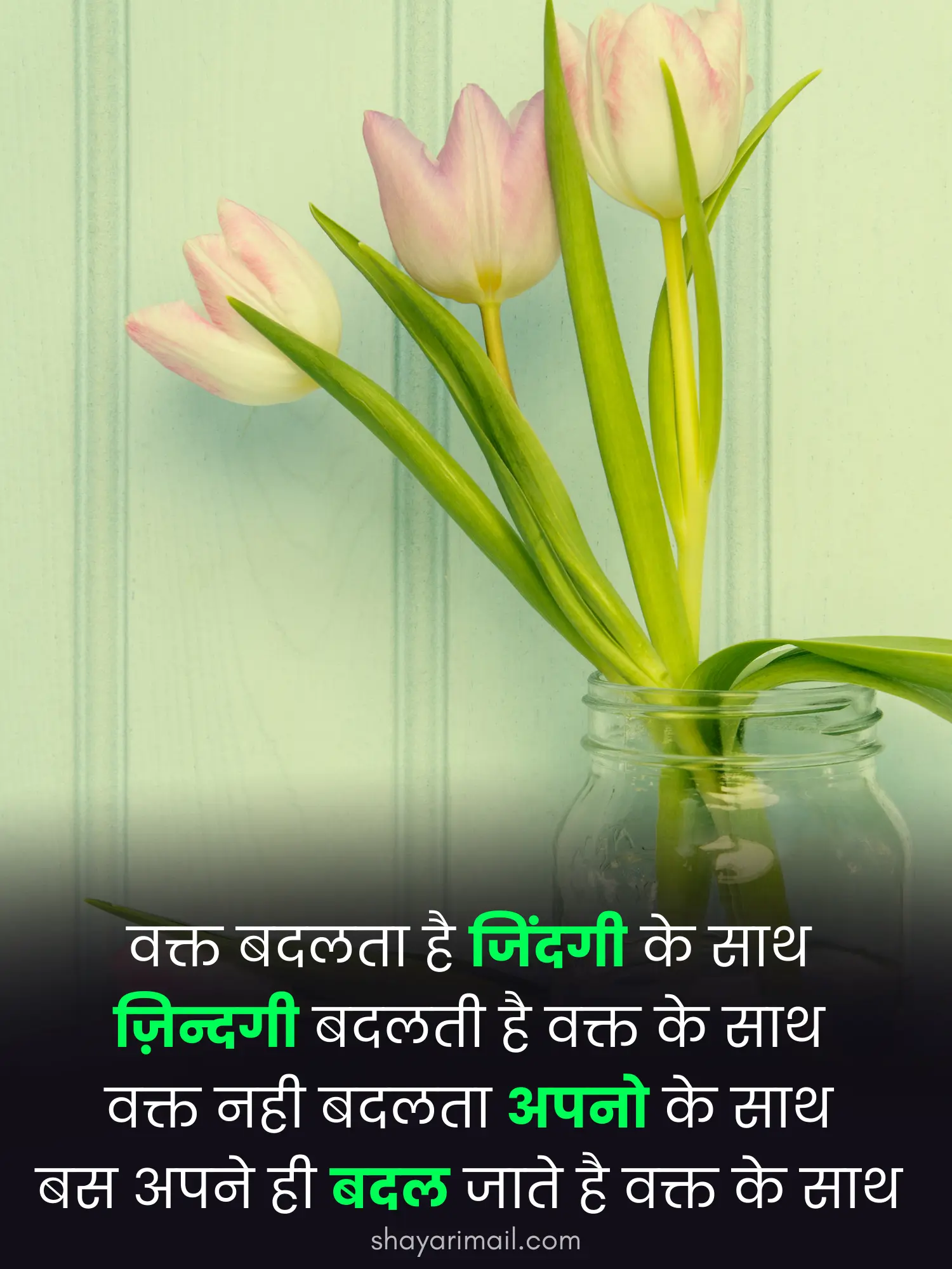 Zindagi Shayari Status Hindi image