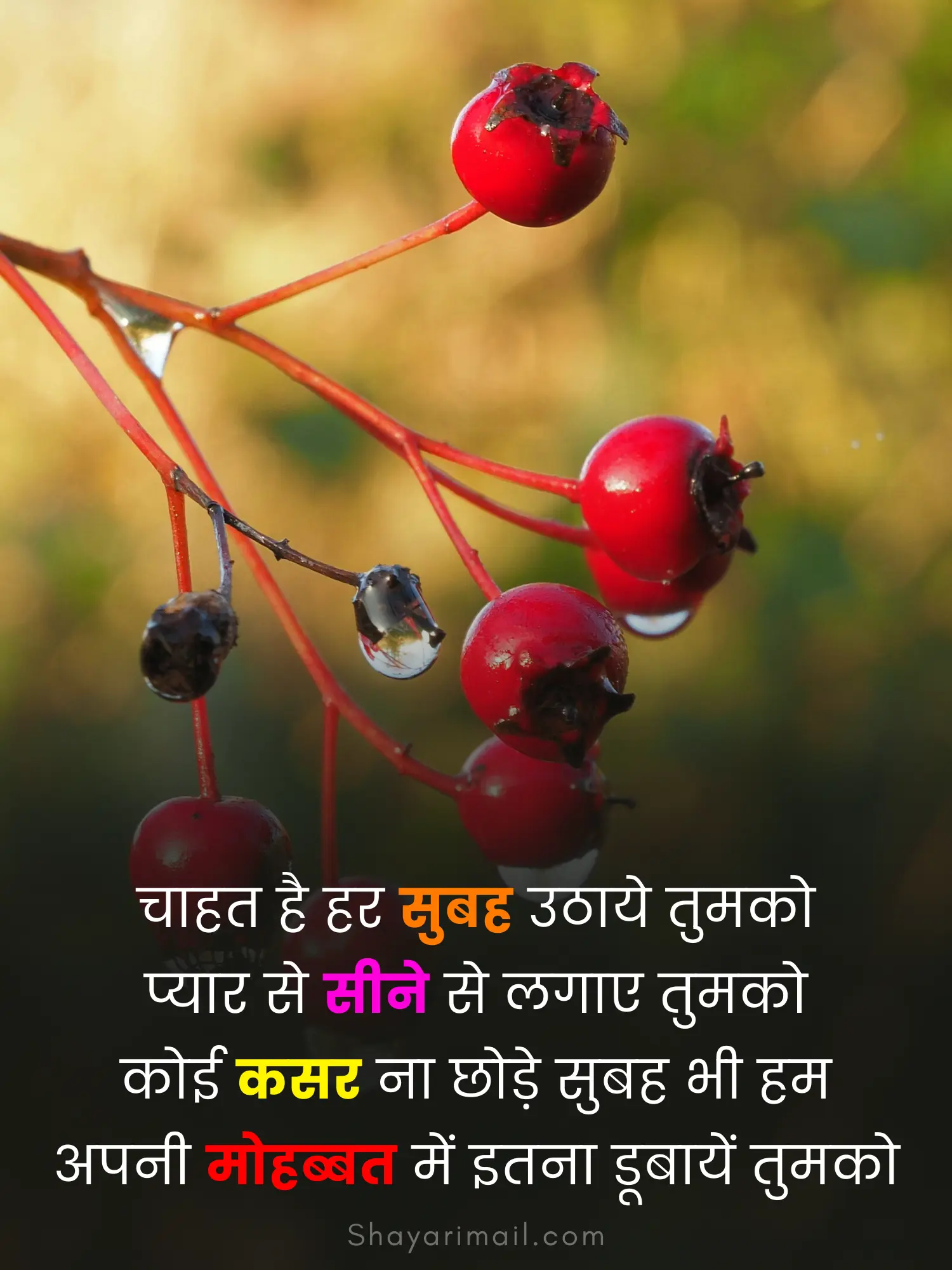 सुप्रभात हिंदी शायरी फोटो