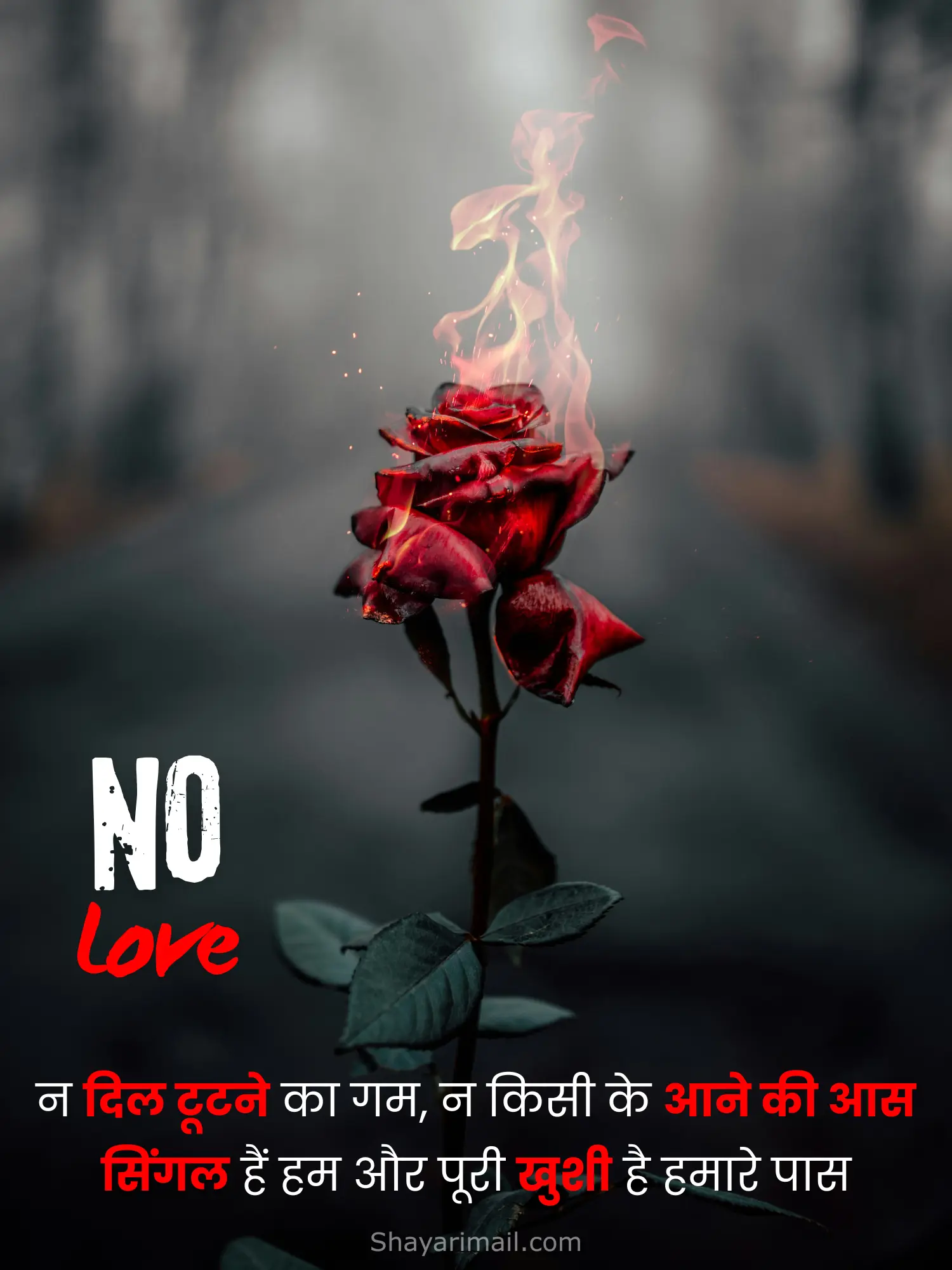 no love hindi shayari image