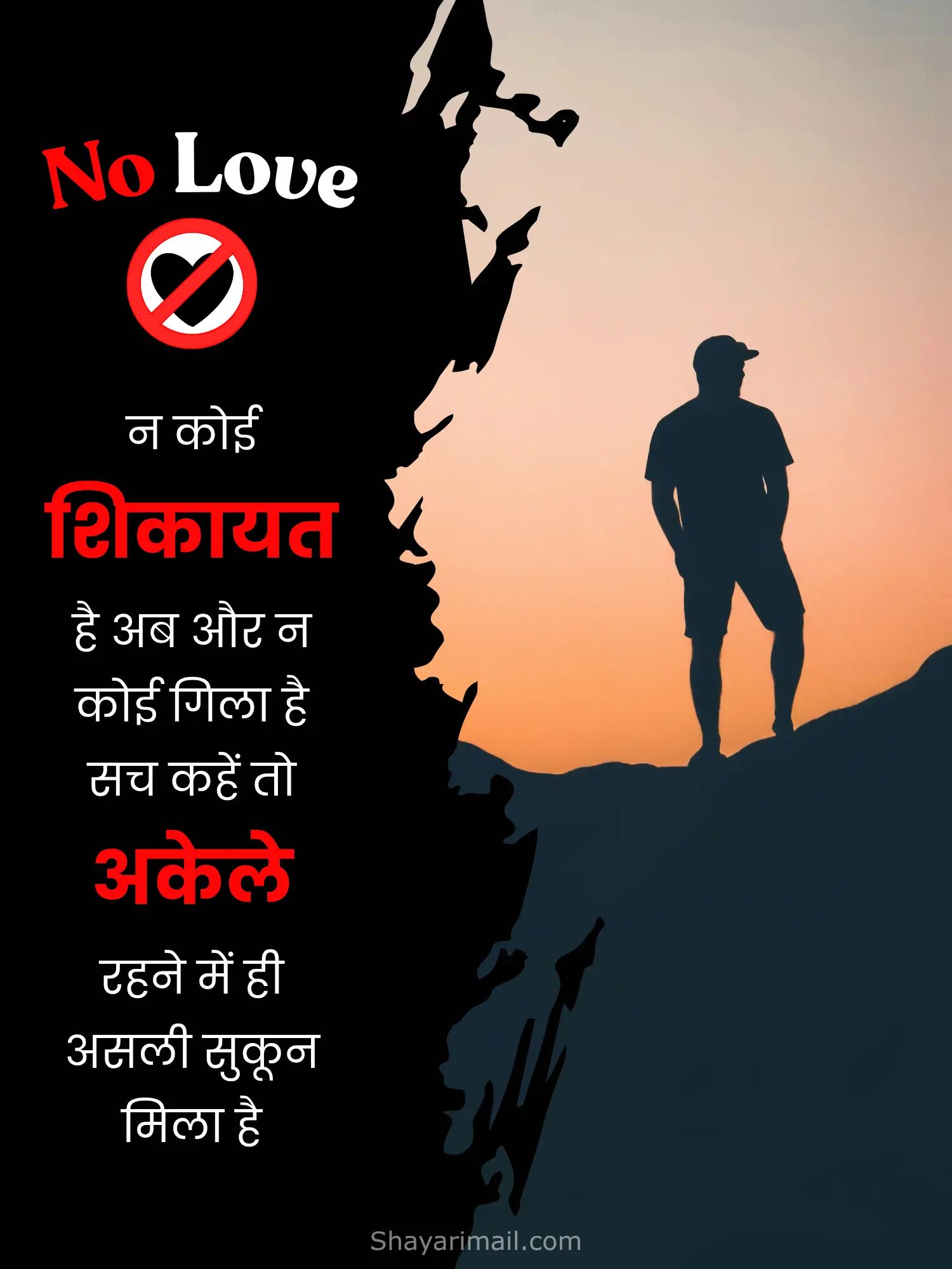 नो लव शायरी हिंदी में